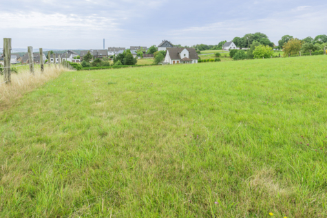 Ein Traum für Tierliebhaber – Ein- bis Zweifamilienhaus mit ca. 9.124 m² Land - Weide (70670)