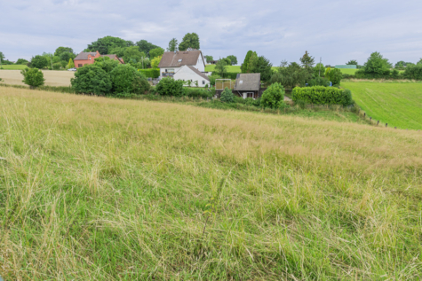 Ein Traum für Tierliebhaber – Ein- bis Zweifamilienhaus mit ca. 9.124 m² Land - Weide (70661)