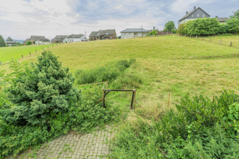 Ein Traum für Tierliebhaber – Ein- bis Zweifamilienhaus mit ca. 9.124 m² Land - Weide (70664)