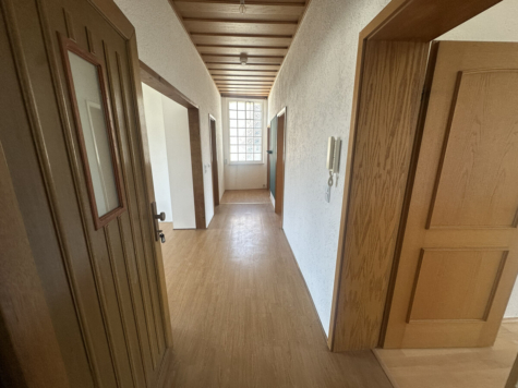 Charmante Altbauwohnung mit großzügigem Wohn-Essbereich und Kamin - Zugang Wohnung (69760)