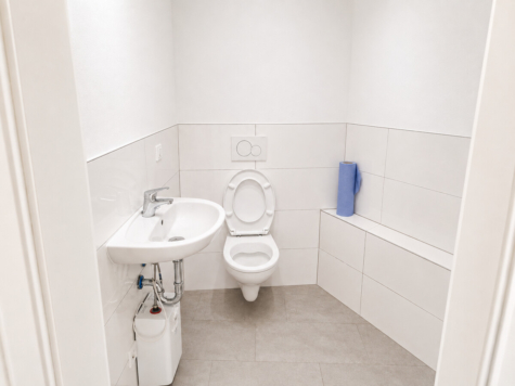Ihr neuer Unternehmensstandort – modern, flexibel und repräsentativ - Modernes WC (69811)